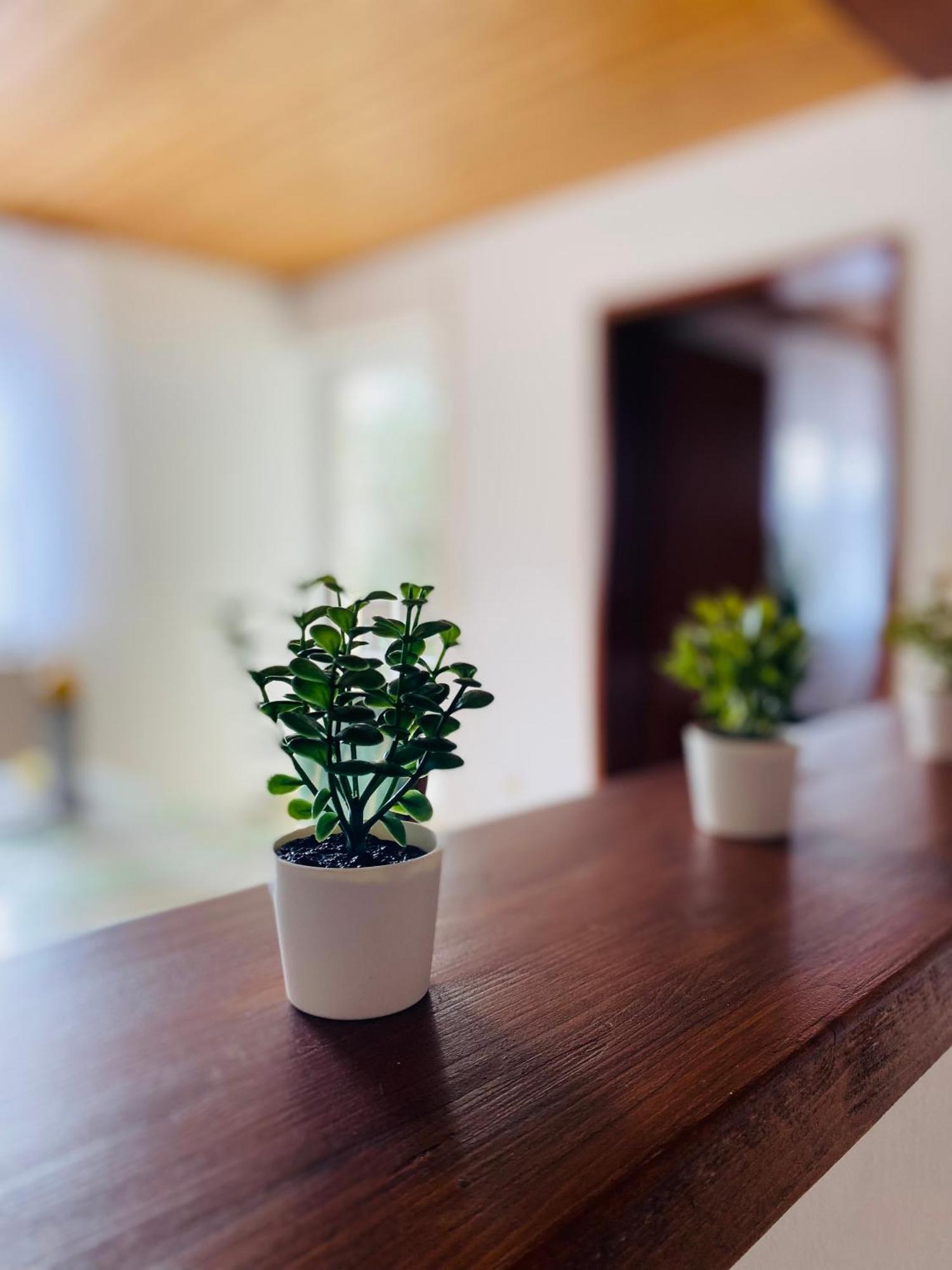 Ferienwohnung Antonia Rattelsdorf Exteriér fotografie